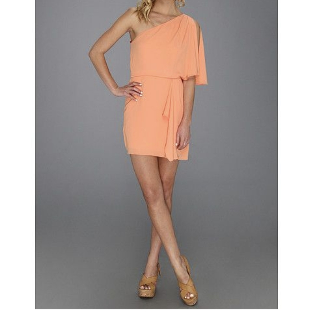 BCBG Cocktail dress